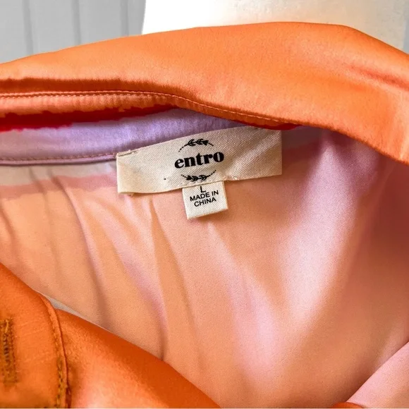 Entro In Your Heart Peach Orange Striped Blouse Silky Satin Top - Picture 6 of 8